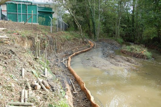 Bio-engineered revetment